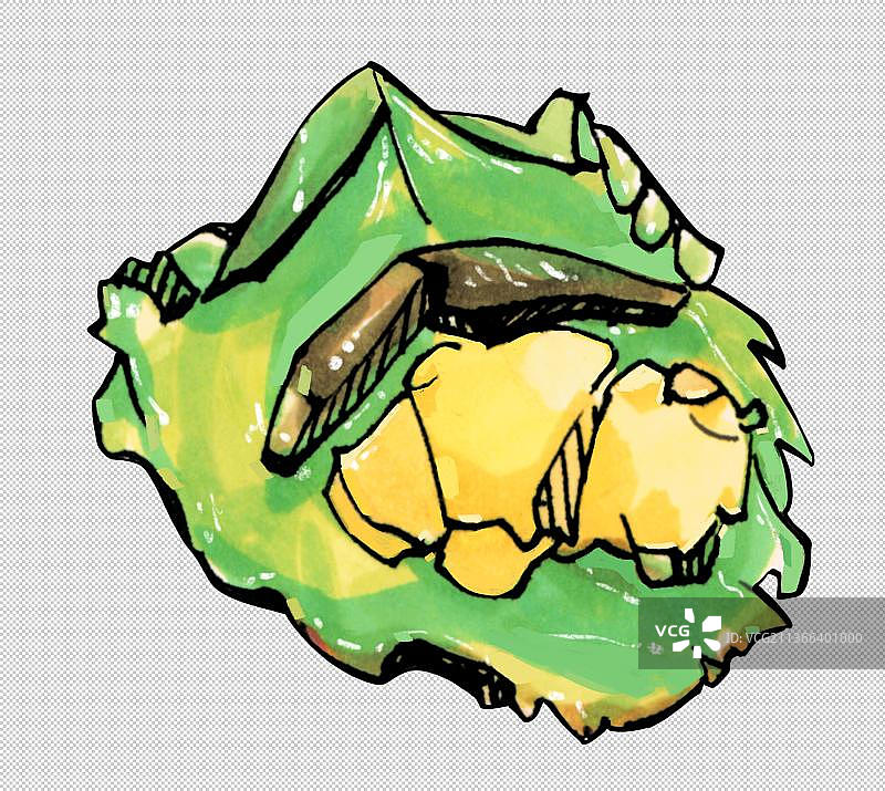 装着酱料的叶子 日料店 芥末 黄芥末 美食食物餐饮菜单饮食图片素材