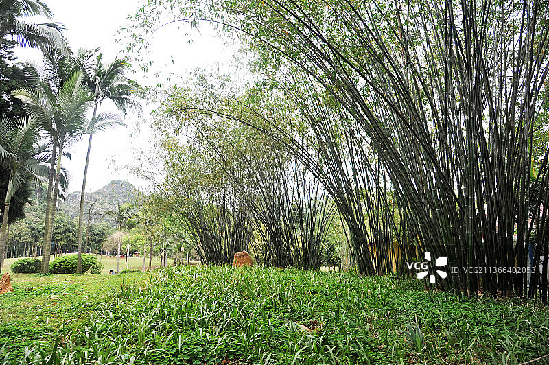 广西柳州龙潭公园图片素材