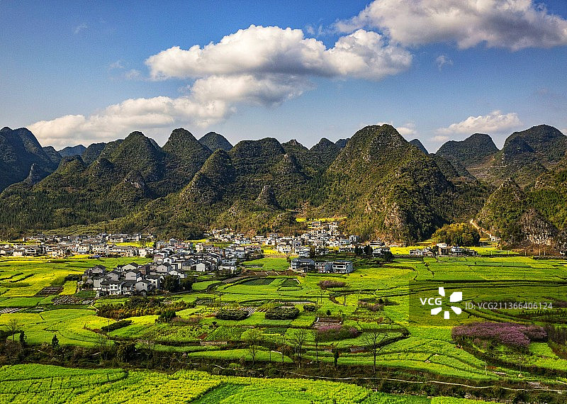 万峰林菜花一图片素材