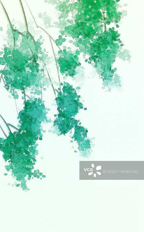 夏日阳光植物束图片素材