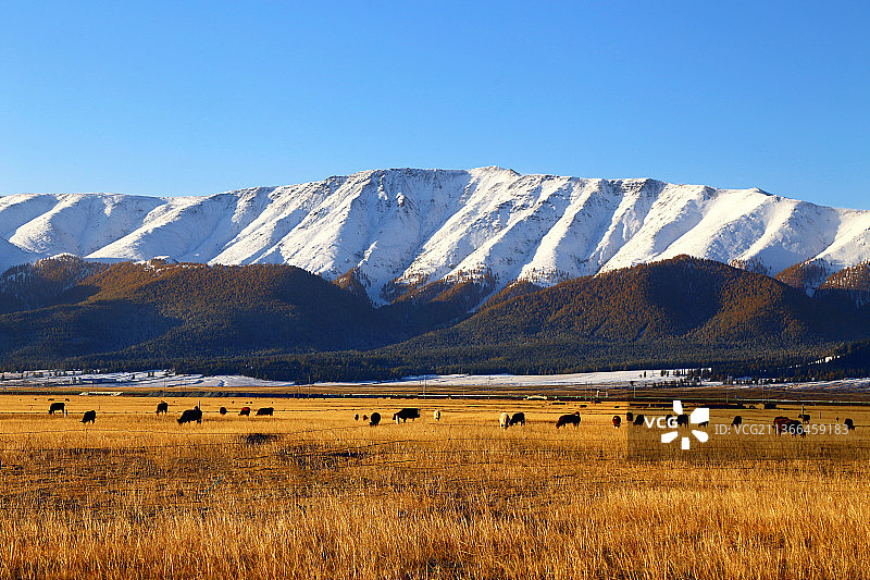 新疆巴里坤风光图片素材