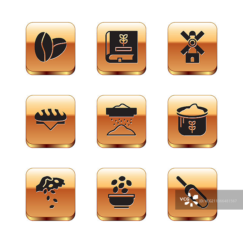 碗里筛选的咖啡豆种子套装图片素材