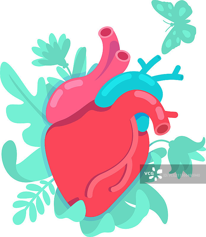 解剖心脏扁平概念图片素材