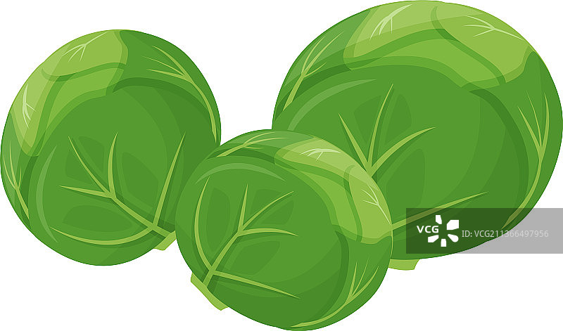 球芽甘蓝卡通图片素材