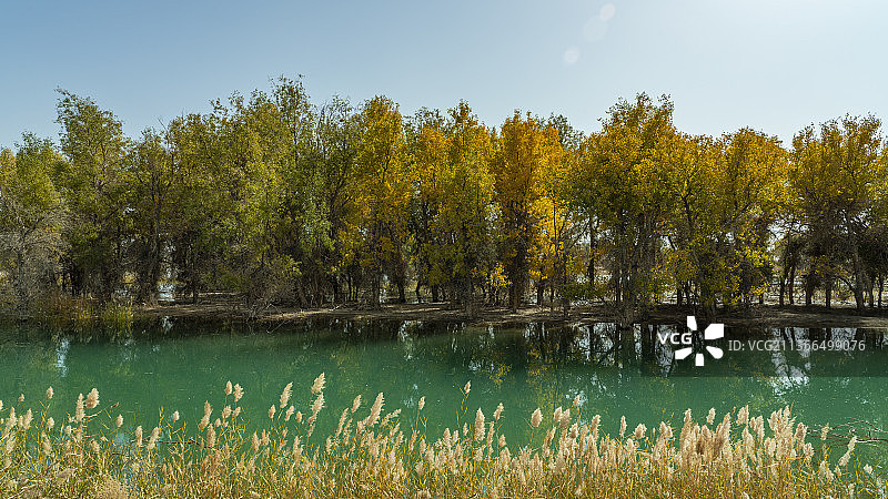 沙漠绿洲图片素材