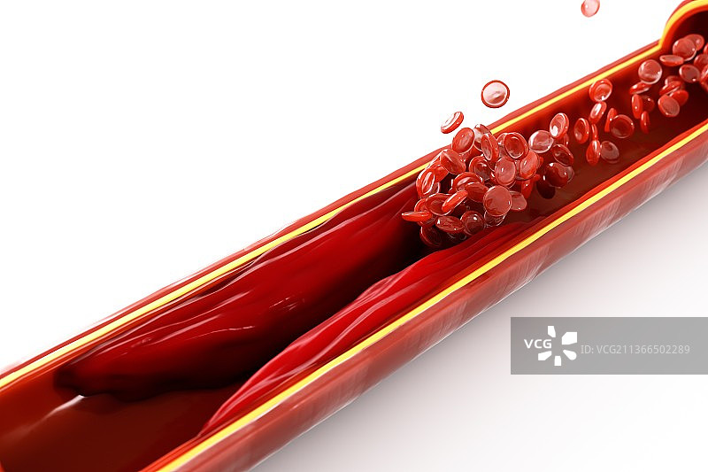3D渲染的血管图片素材