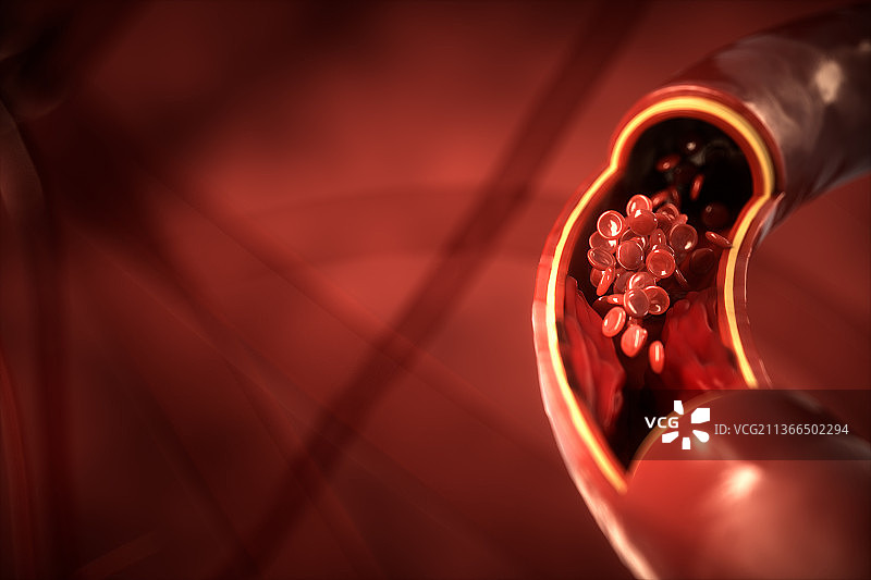 3D渲染的血管图片素材