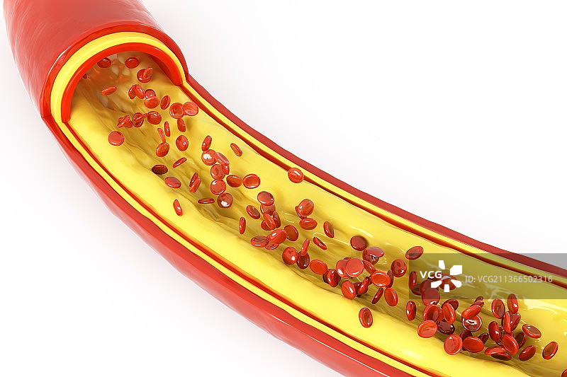 3D渲染的血管图片素材