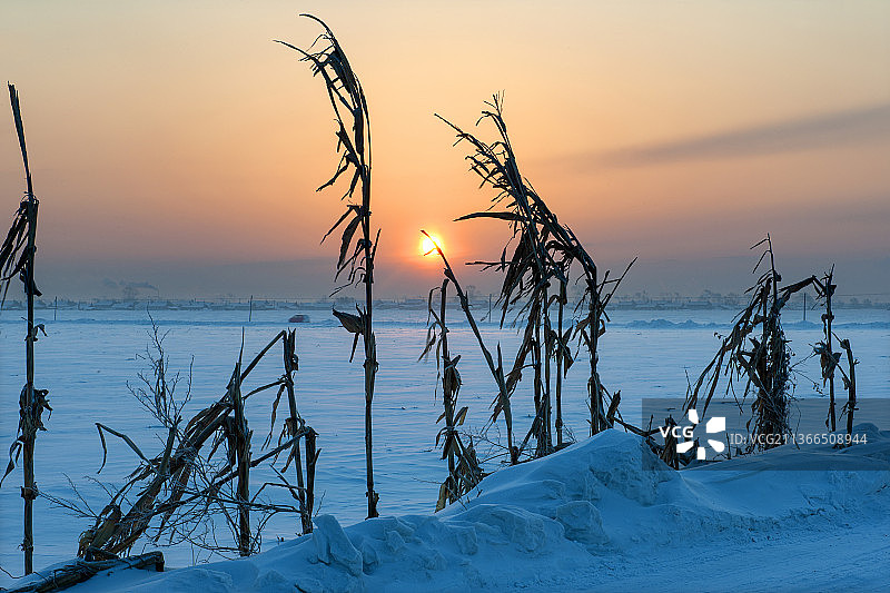 吉林，雾凇岛风景图片素材