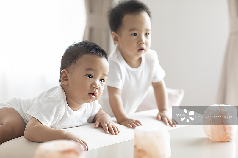 可爱的龙凤胎宝宝在沙发上玩耍图片素材