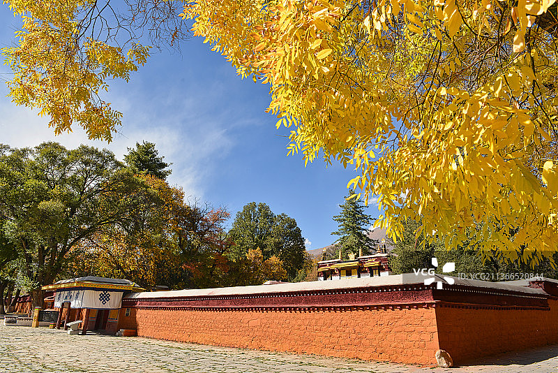 西藏罗布林卡的秋景图片素材