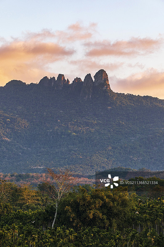 七仙岭下白鹭落枝头图片素材