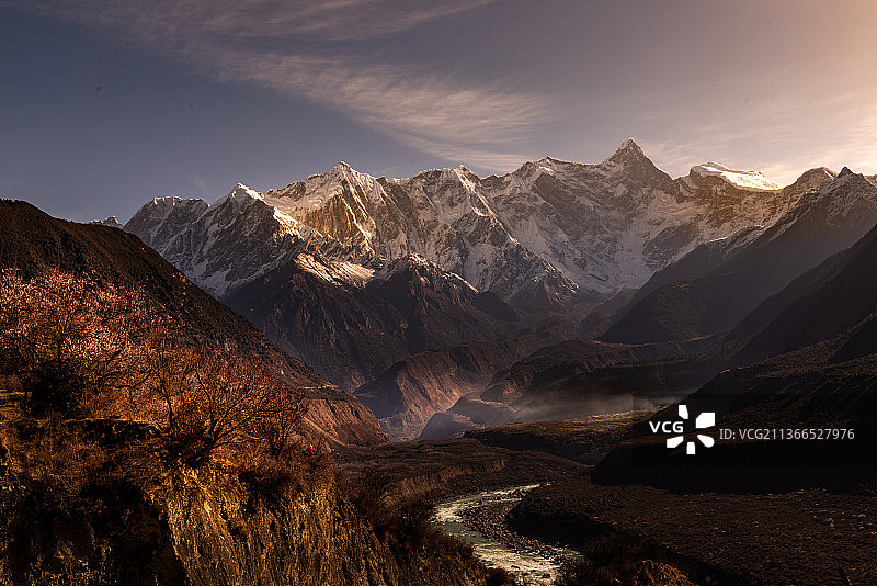 林芝桃花图片素材