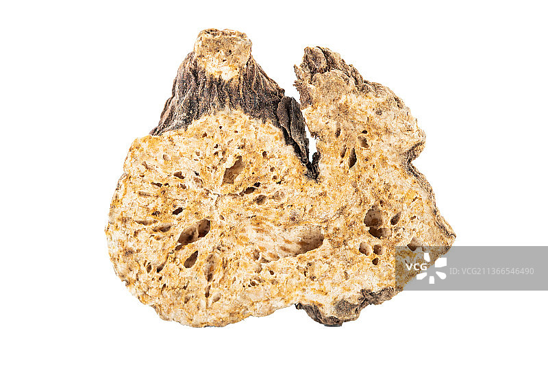 中药材苍术图片素材