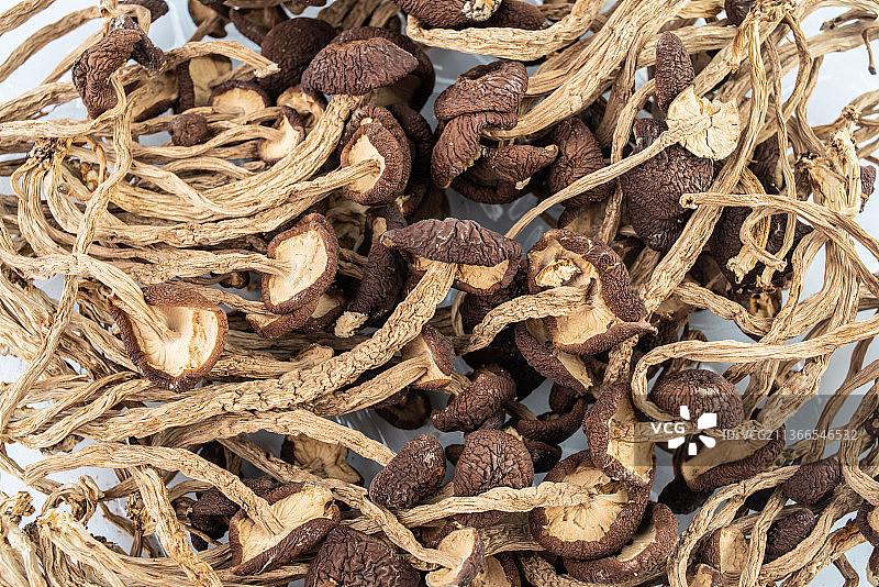 美味菌菇干货茶树菇图片素材