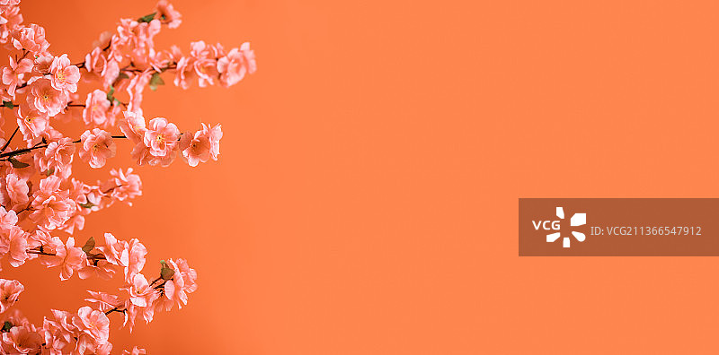 春季花朵海报背景素材图片素材