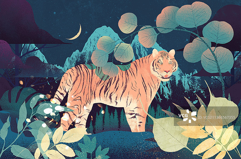 老虎插画图片素材