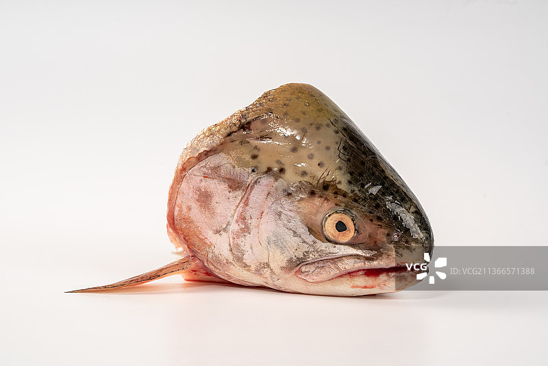 三文鱼头图片素材