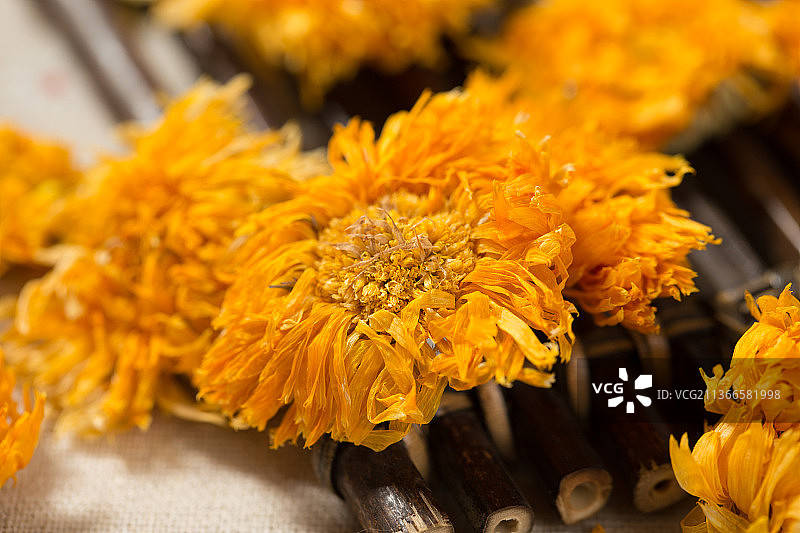 金盏菊图片素材