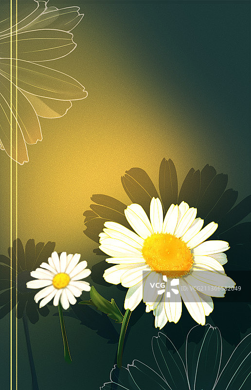 植物插画-雏菊图片素材