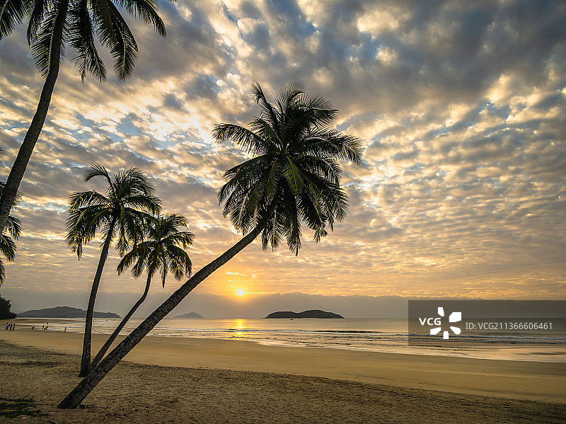 石梅湾风景区阳光沙滩天空大海椰子树图片素材