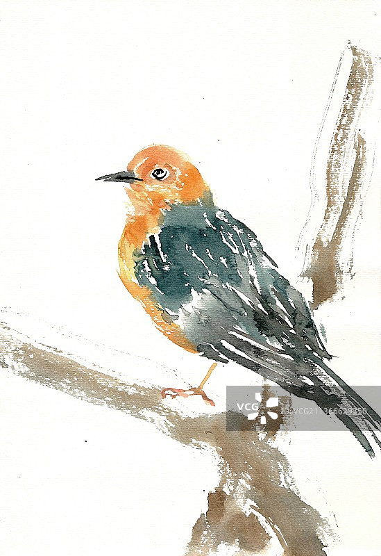 眺望的小鸟图片素材