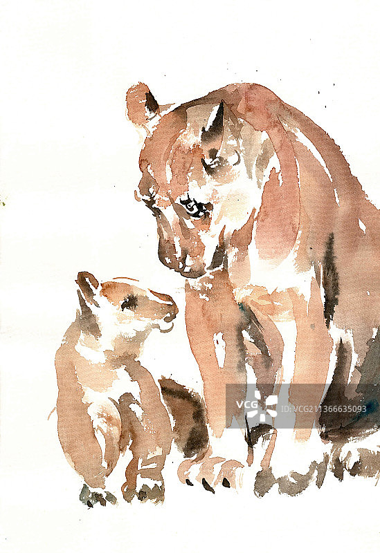 母狮与幼狮图片素材