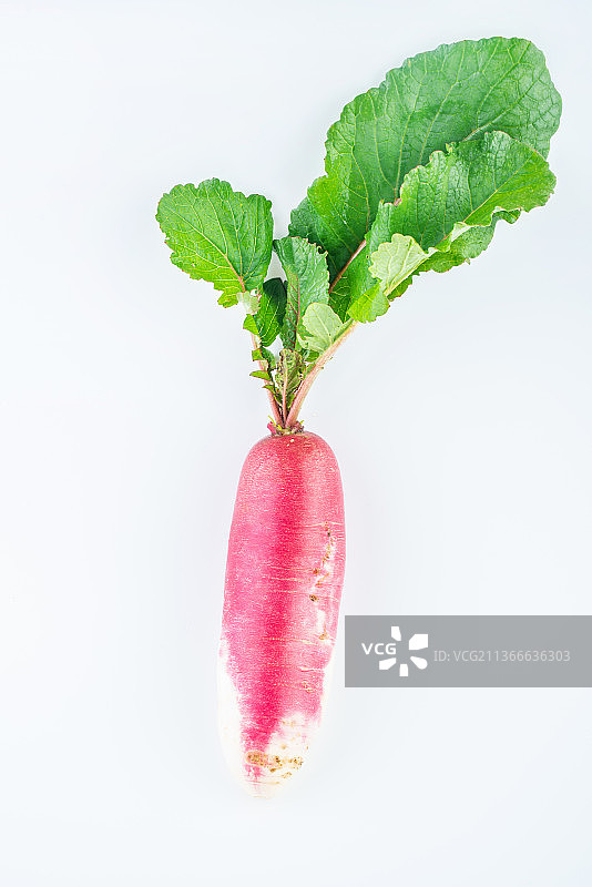 白背景上一根新鲜红玉水果萝卜图片素材