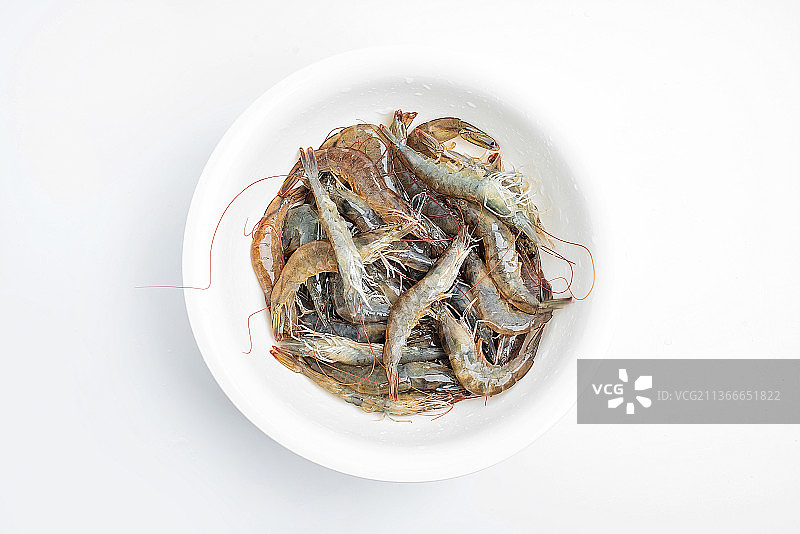 一大盆新鲜的活基围虾图片素材
