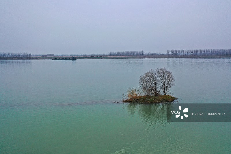 汉江沙滩岛上的一棵树图片素材