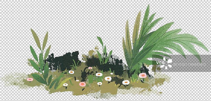 一片草地上的植物特写镜头1图片素材