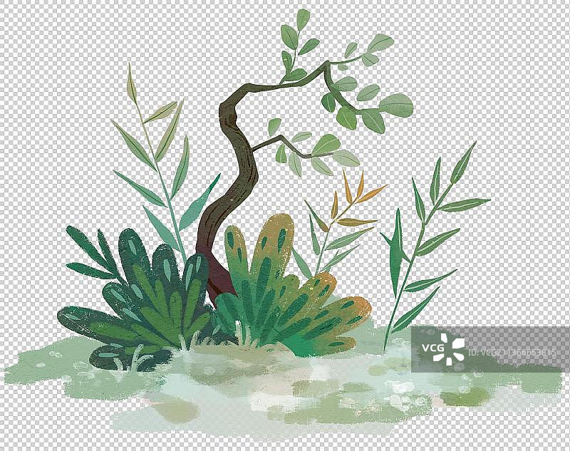 一片草地上的植物特写镜头2图片素材