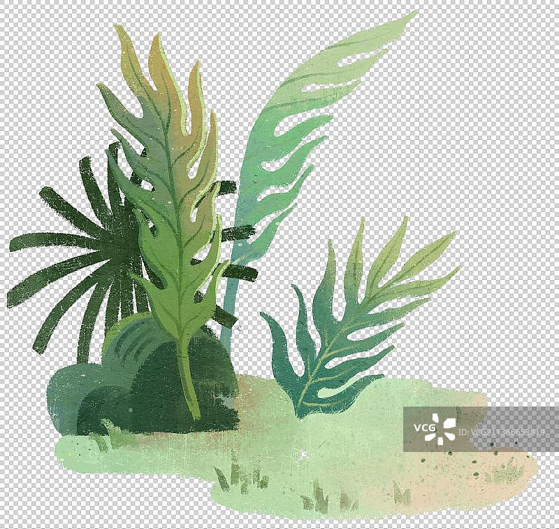 一片草地上的植物特写镜头3图片素材