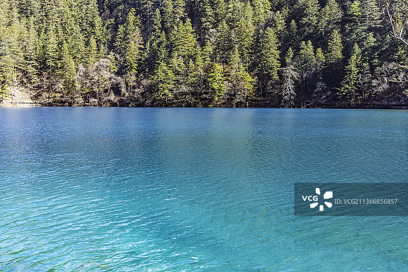 冬天的九寨沟犀牛海，老虎海，五花海风景图片素材