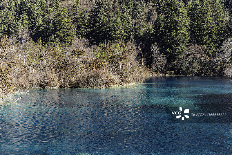冬天的九寨沟犀牛海，老虎海，五花海风景图片素材