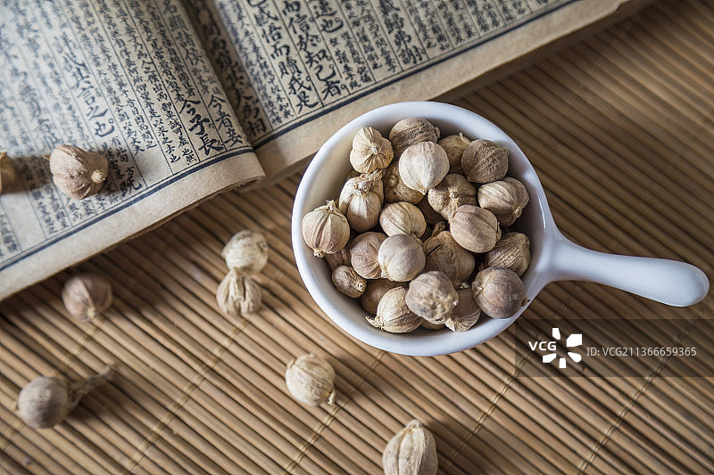 中国古风背景的中药豆蔻特写图片素材