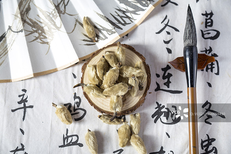 中国古风背景的中药辛夷特写图片素材