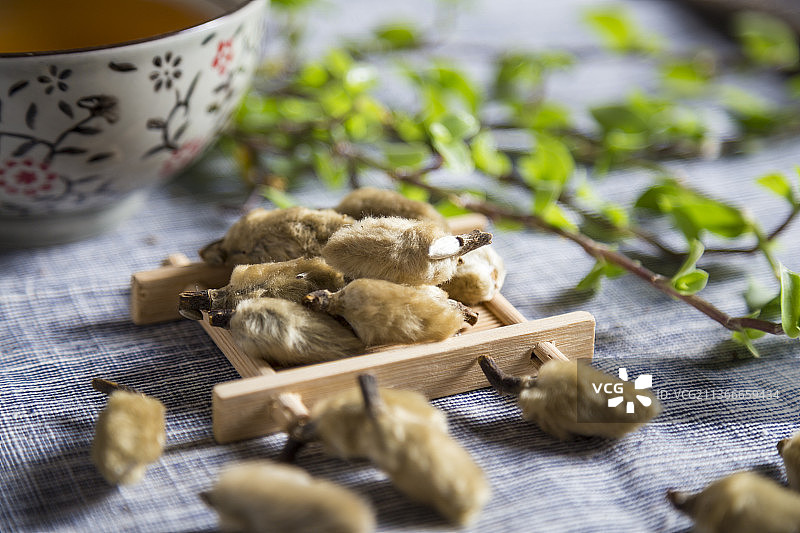 中国古风背景的中药辛夷特写图片素材