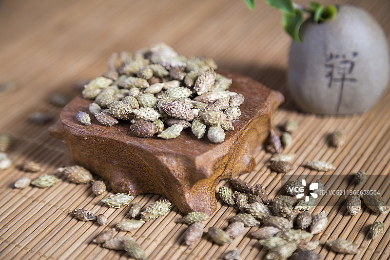 中国古风背景的中药苍耳子特写图片素材