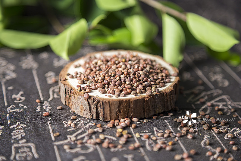 中国古风背景的中药莱菔子特写图片素材