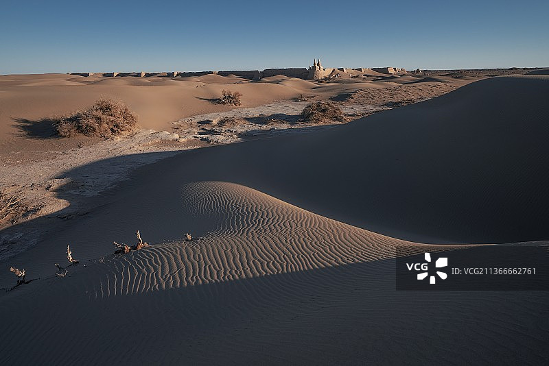 沙海之心图片素材