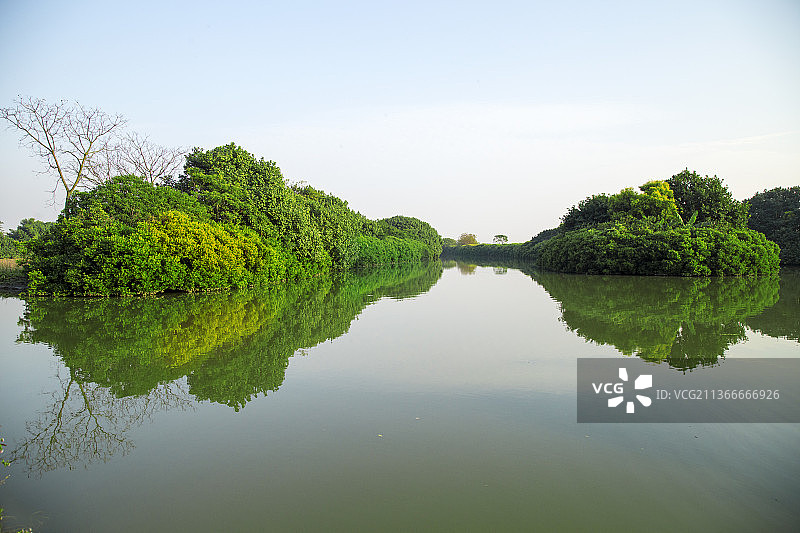 广州南沙湿地公园的湖景倒影图片素材