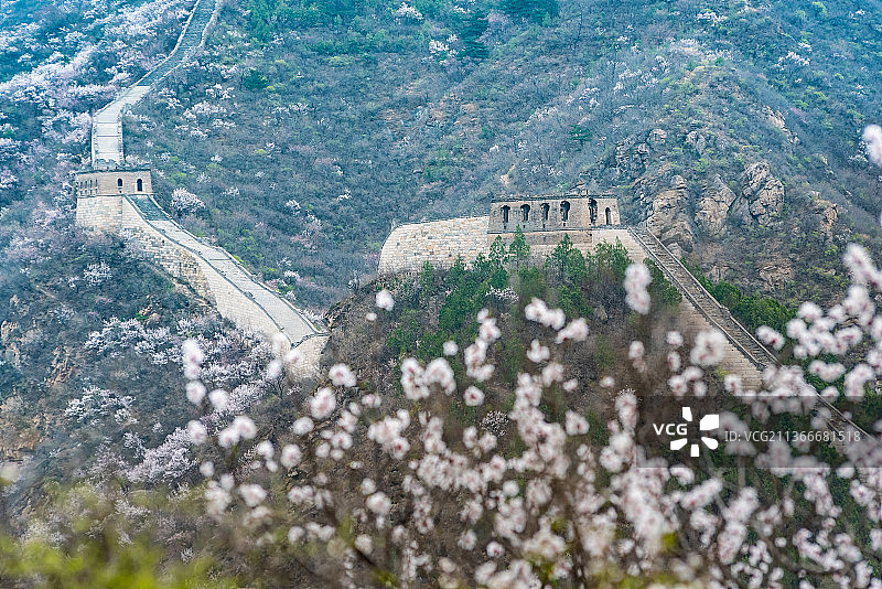 北京怀柔黄花城长城山桃花开图片素材