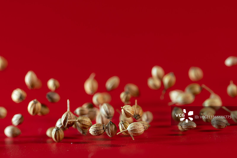 红色背景跳动的香料原材料香菜籽年货广告素材图片素材