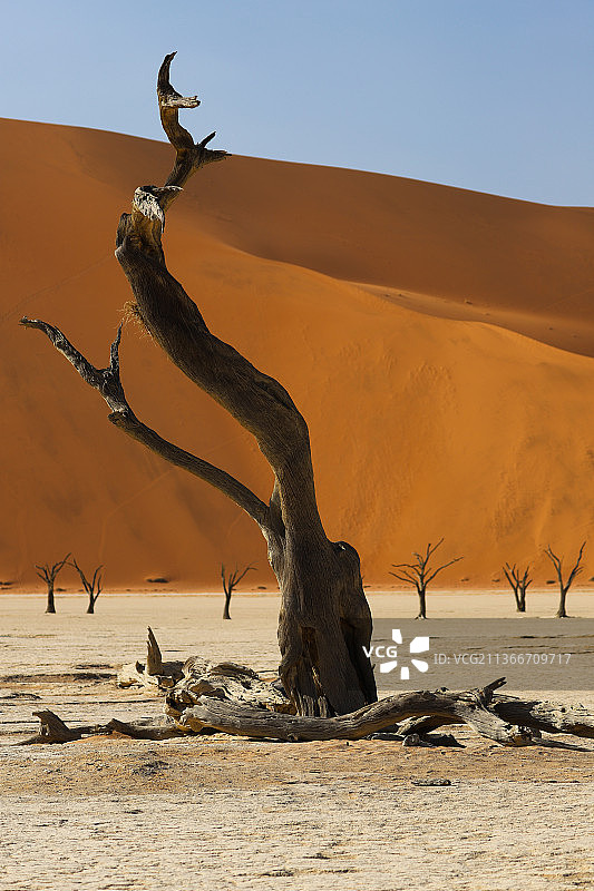 纳米比亚卡拉斯区沙漠风光图片素材