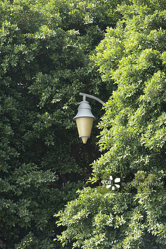 公园树林路灯图片素材