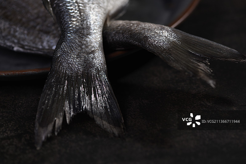 铁盘上的两条未烹饪的金鲷鱼尾图片素材