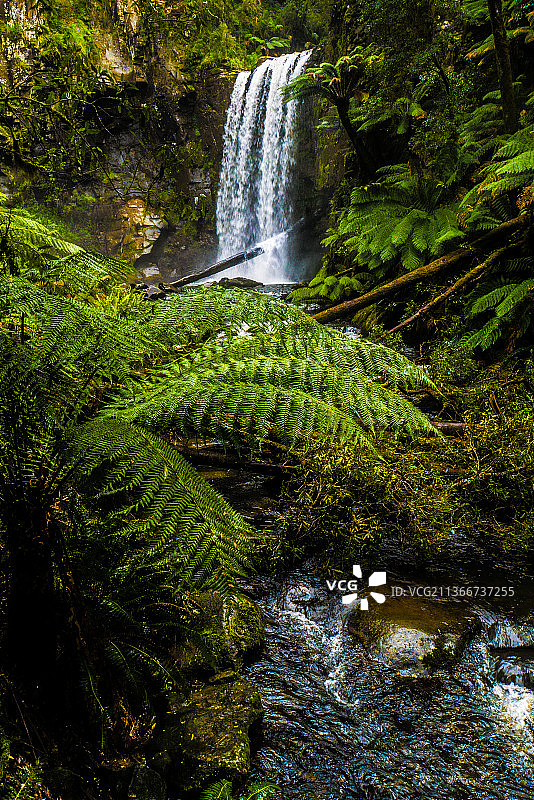 澳大利亚维多利亚州大奥特威国家公园森林瀑布的风景图片素材
