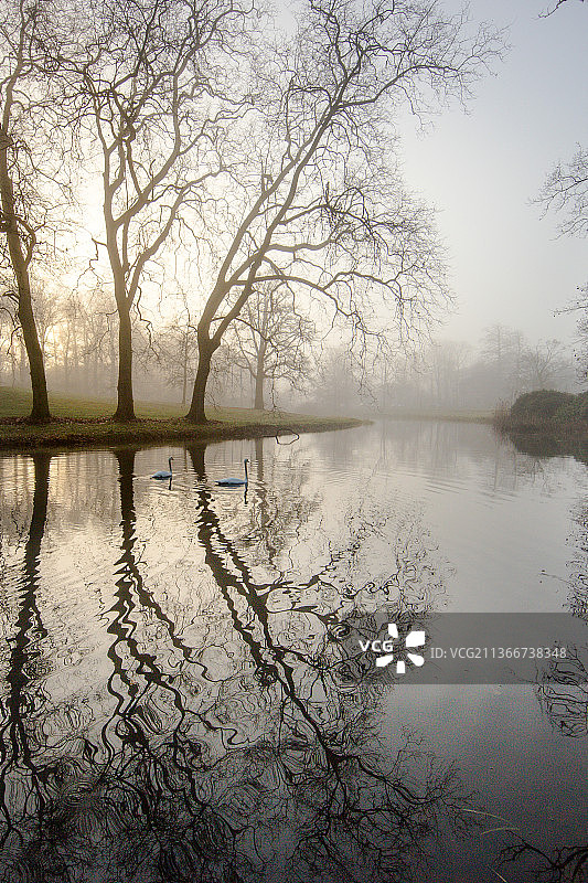 荷兰宰斯特德布鲁尔庄园薄雾日出图片素材
