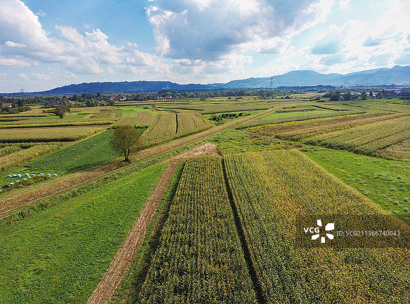 飞越克罗地亚的农田图片素材